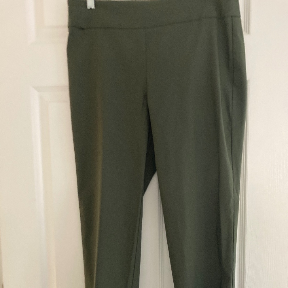 Counterparts Dark Olive Green Pants Size 10